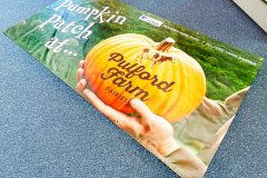 pulford-pumpkin-banner