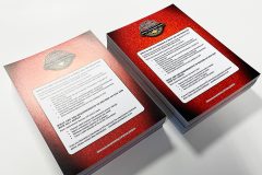 Bliss Flyers