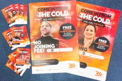 Out in the Cold Posters