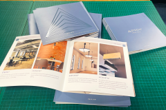 Steon-Leaflet