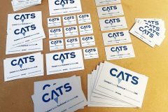 cats_plates