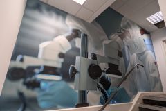 PXL_20221202_142223178