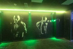 gym-wall